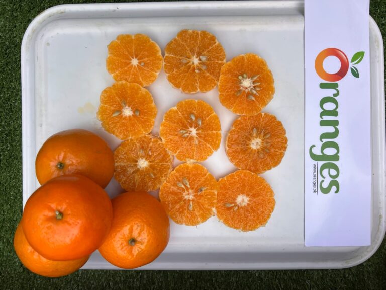 Export Quality Kinnow Box 10Kg