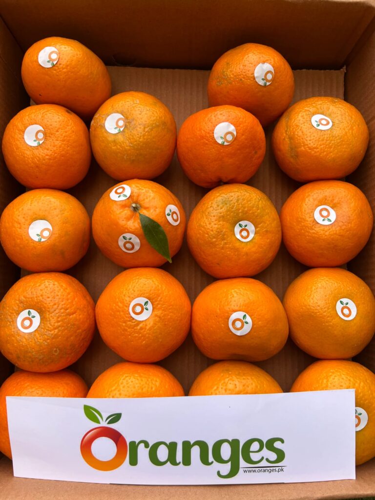 Export Quality Kinnow Box 10Kg