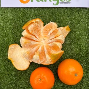 Export Quality Kinnow Box 10Kg