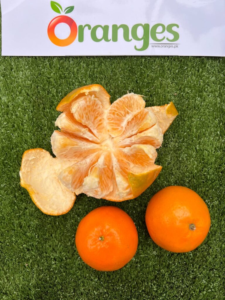 Export Quality Kinnow Box 10Kg