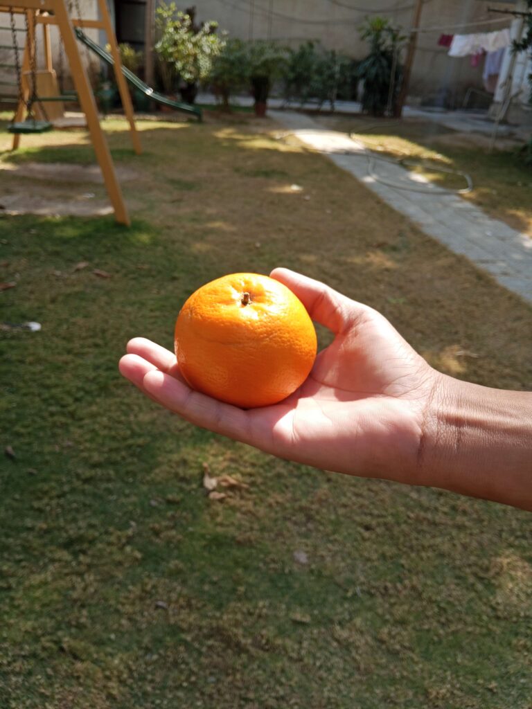 Export Quality Kinnow 60 Pieces