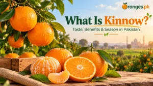 What Is Kinnow? Benefits, Taste & Season in Pakistan